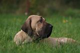 FILA BRASILEIRO 046
